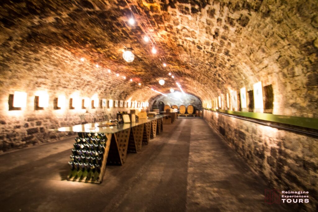 Wuerzburg wine tour with Reimagine Tours – guided vineyard and city experience Reimagine Tours Wuerzburg wine tasting and city tour Wuerzburg wine tour in English with local guide – Reimagine Tours