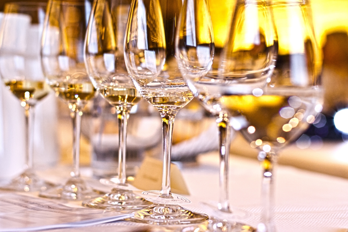 Wuerzburg wine tour with Reimagine Tours – guided vineyard and city experience Reimagine Tours Wuerzburg wine tasting and city tour Wuerzburg wine tour in English with local guide – Reimagine Tours