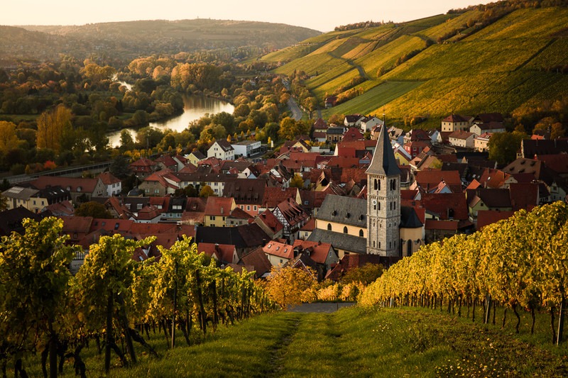 Wuerzburg wine tour with Reimagine Tours – guided vineyard and city experience Reimagine Tours Wuerzburg wine tasting and city tour Wuerzburg wine tour in English with local guide – Reimagine Tours