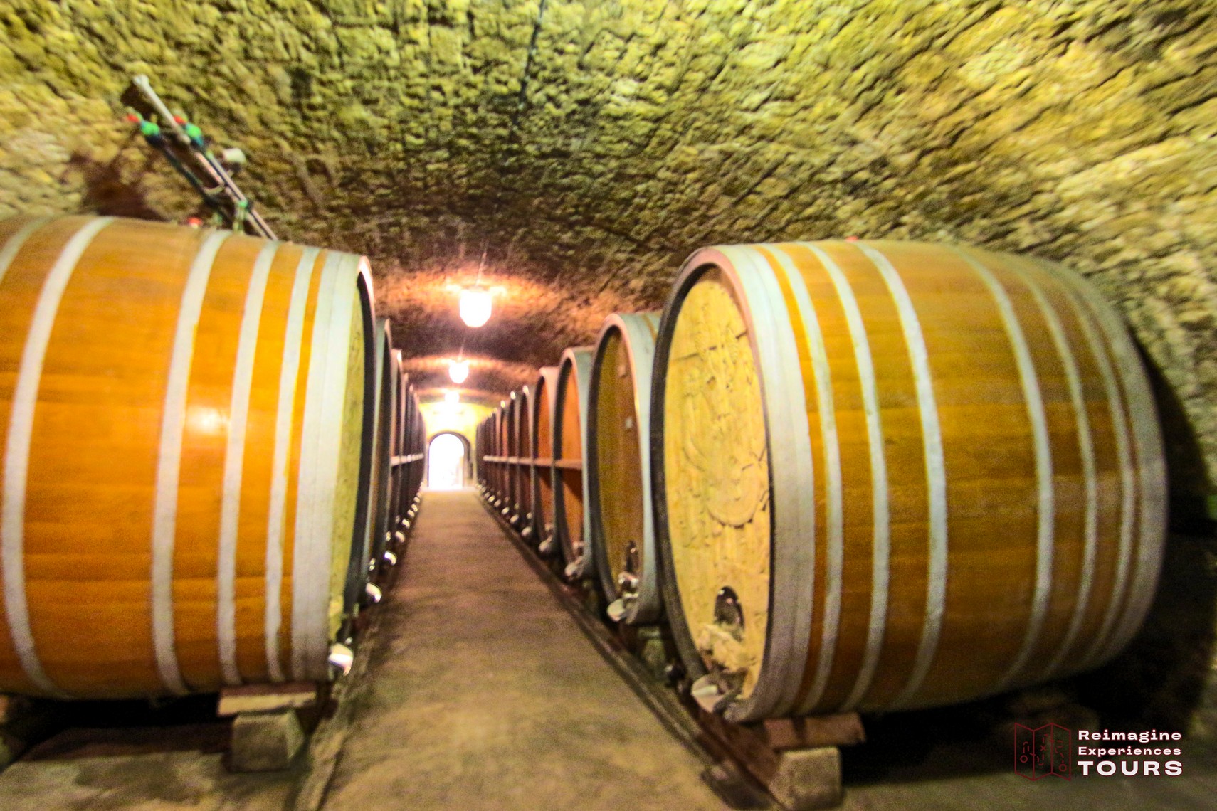 Würzburg Wine Tour in English by Tours by Locals