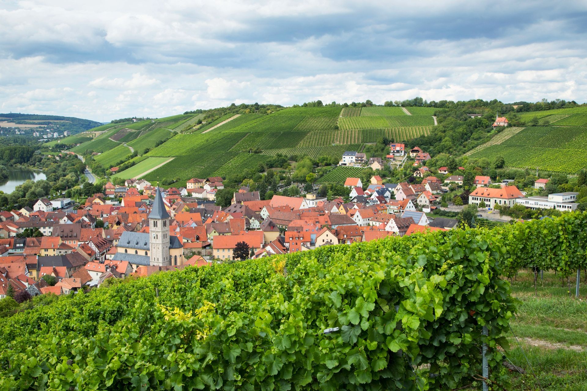 Wuerzburg wine tour with Reimagine Tours – guided vineyard and city experience Reimagine Tours Wuerzburg wine tasting and city tour Wuerzburg wine tour in English with local guide – Reimagine Tours